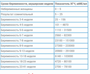 9 дней задержка какой срок беременности