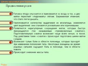 На какой неделе беременности начинаются роды у первородящих