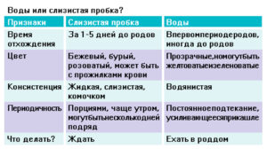 Когда отходят воды у беременных до схваток или после