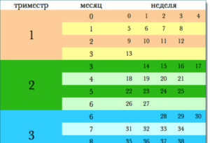 23 Неделя беременности какой это месяц