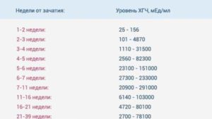 Как растет хгч на 6 неделе беременности