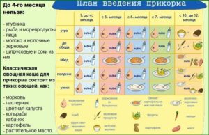 Через сколько дней можно вводить прикорм после прививки