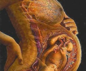 Щелчки животе беременности 40 недель