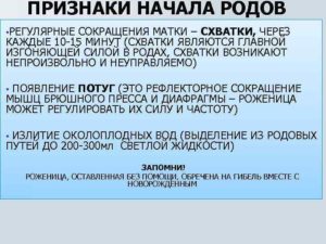 Схватки Каждые 10 Мин Через Сколько Роды