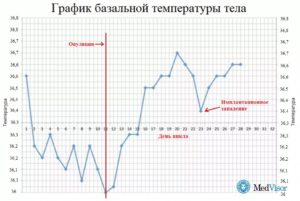 Может ли быть имплантационное западение на 4 день после овуляции