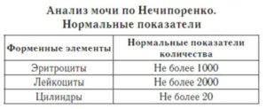 Лейкоциты в моче при беременности по нечипоренко