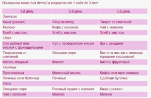 Меню Ребенка В 1год И 2 Месяца