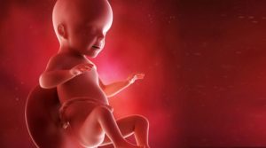 Ребенок на 27 недели беременности видео