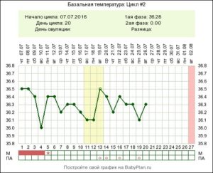 Может ли овуляция быть на 22 день цикла