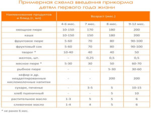 Со скольки месяцев можно подкармливать ребенка грудничка