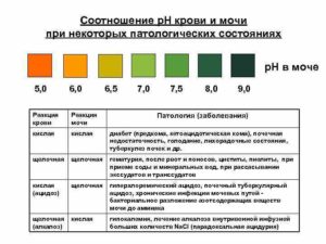 Ph в моче у беременных норма