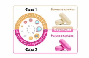 Как Принимать Тайм Фактор Если Нет Месячных