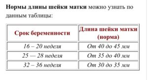 Шейка матки на 35 неделе беременности норма