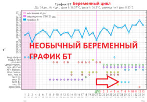 Бт при беременности до задержки график форум