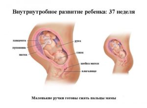 Матка в тонусе в 37 недель беременности