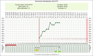 На какой день овуляция при 31 цикле