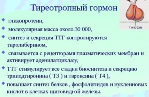 Как повысить ттг у женщин народными средствами