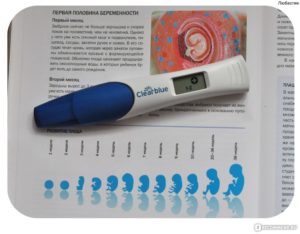 Со Скольки Недель Тест Определяет Беременность