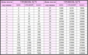 Хгч по дням после переноса эмбрионов 5 дневных