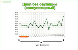 График бт при ановуляторном цикле