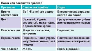 Какого цвета воды при родах