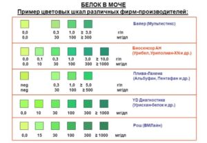 В 39 недель беременности в моче белок