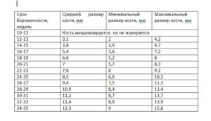 Носовая кость в 11 недель норма таблица