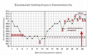 Беременность 37 недель температура 37