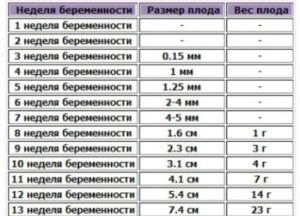 Эмбрион 6 мм какой срок беременности