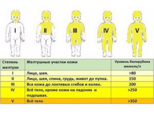 Желтушка У Новорожденных Не Проходит 2 Месяца