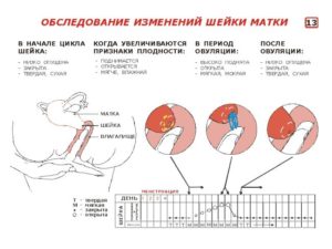 Болит шейка матки при беременности на ранних сроках