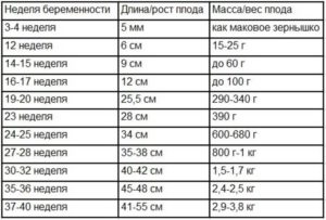 30 31 Неделя Беременности Сколько Это Месяцев