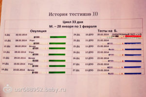 19 день цикла признаки беременности при 30 дневном цикле