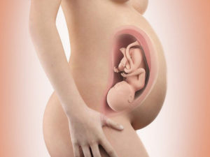 Как часто шевелится ребенок на 18 неделе беременности