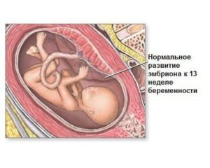 Можно ли на 15 неделе беременности почувствовать шевеление