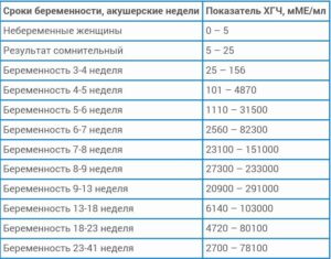 Как часто нужно сдавать кровь на хгч на ранних сроках беременности