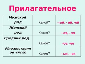 На какие вопросы отвечает женский мужской и средний род