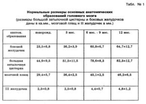 Ширина задних рогов боковых желудочков норма у плода таблица по неделям