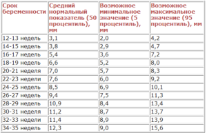 Носовая кость по неделям беременности
