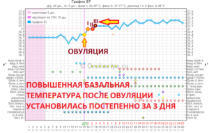 Температура после овуляции 37 и не опускается