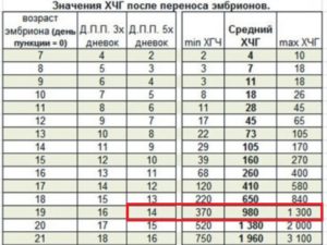 Когда сдавать хгч после переноса 5 дневок