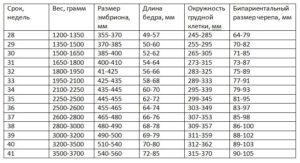 Анатомия плода 32 неделе беременности норма