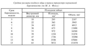 Сколько мм должно быть плодное яйцо в 5 недель