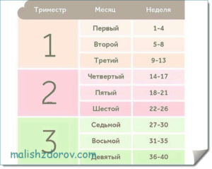 21 неделя это сколько месяцев беременности таблица