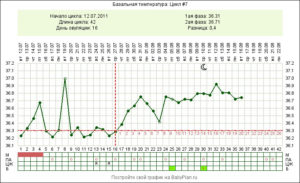 Сколько дней держится температура при беременности на ранних сроках