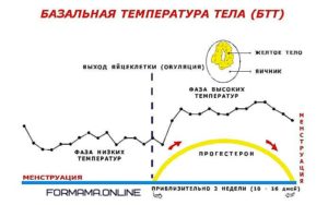 Температура после овуляции 37 и не опускается