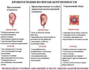 Капля Крови При Беременности На Ранних Сроках