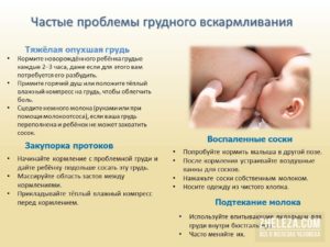 Можно ли кормить грудным молоком при температуре у мамы комаровский