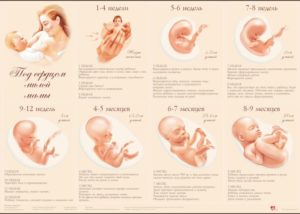 9 Месяцев сколько недель беременности