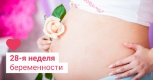 16 Недель тяжесть внизу живота